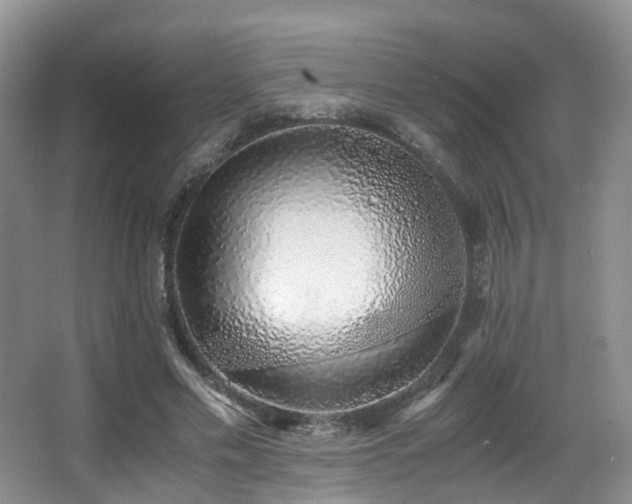 X0000067000589200603241344