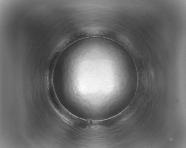 X0000067000590200603241344