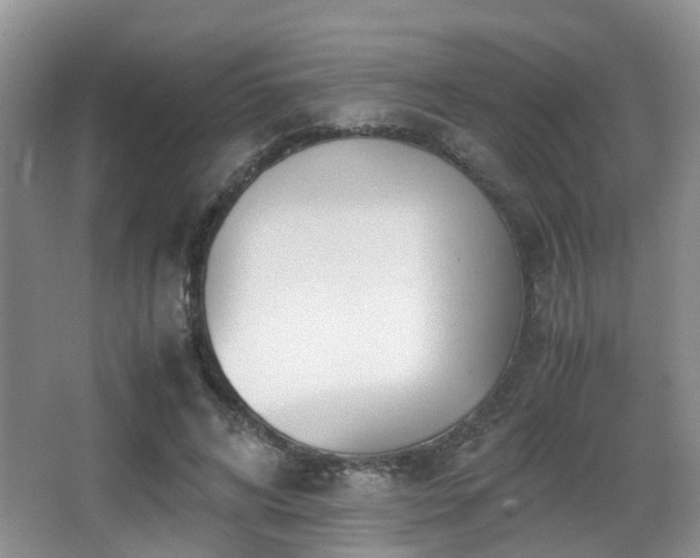 X0000067000592200603241344