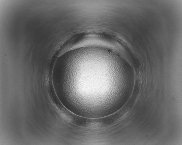 X0000067000593200603241344