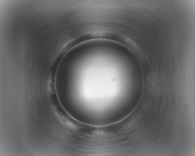 X0000067000596200603241344