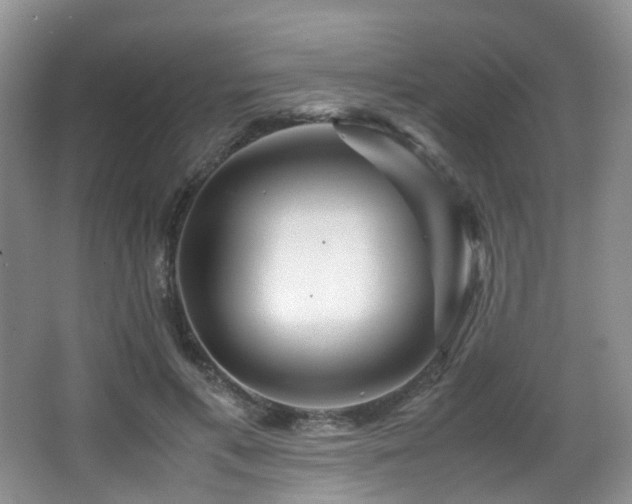 X0000067000597200603241344