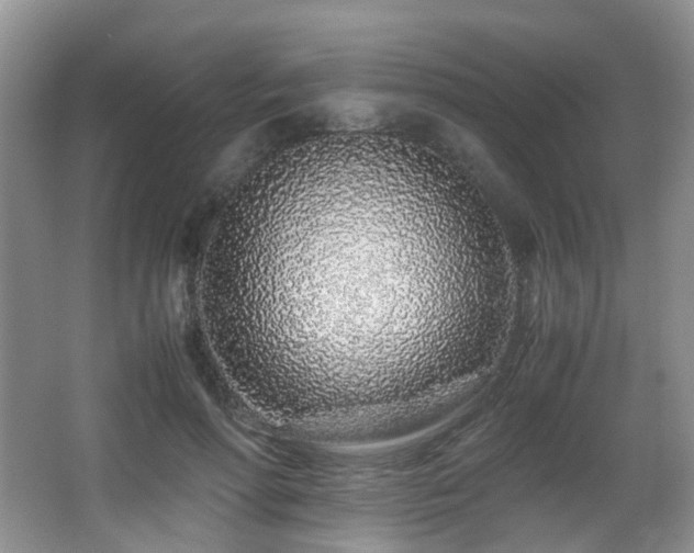 X0000067000598200603241344