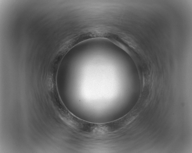 X0000067000599200603241344