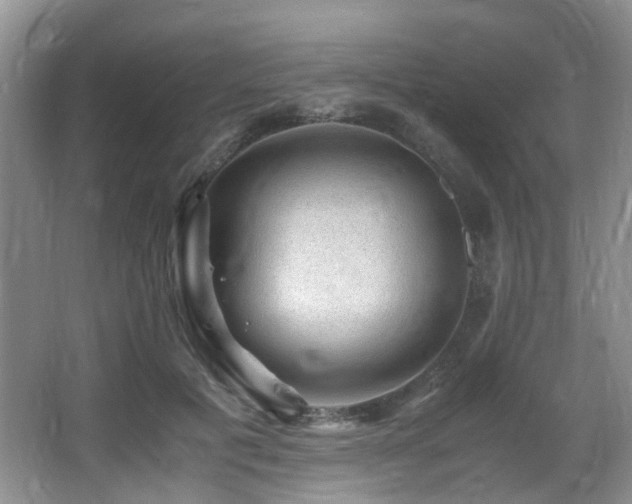 X0000067000601200603241344