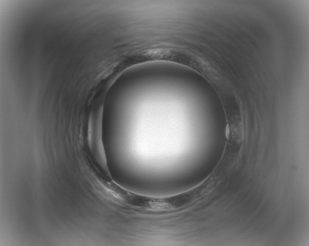 X0000067000605200603241344