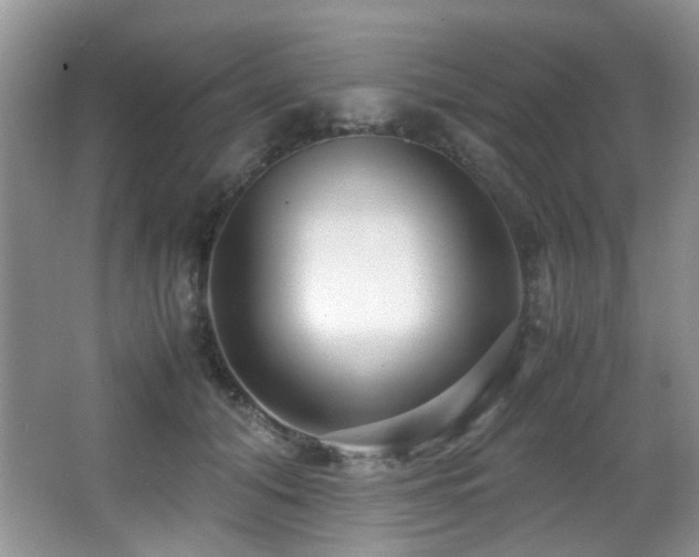 X0000067000608200603241344