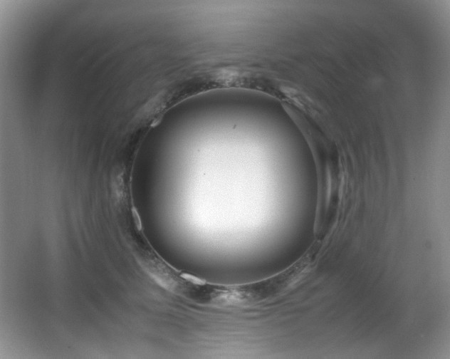 X0000067000611200603241344