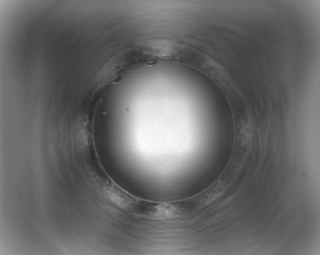 X0000067000612200603241344