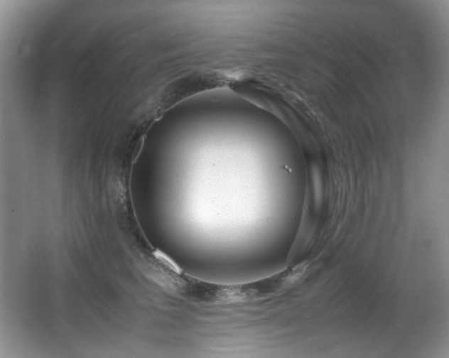 X0000067000613200603241344
