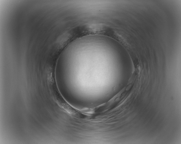 X0000067000615200603241344