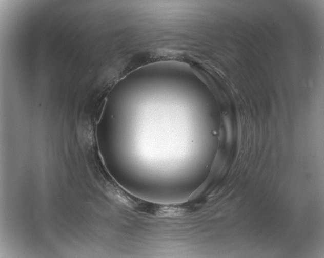 X0000067000617200603241344