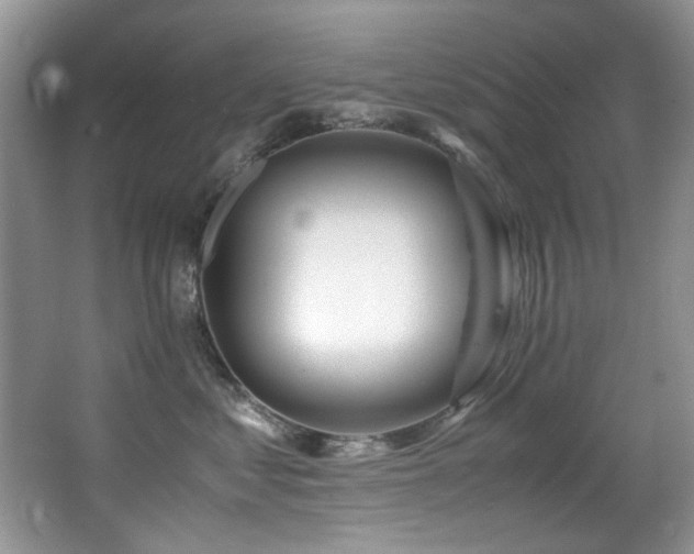 X0000067000621200603241344