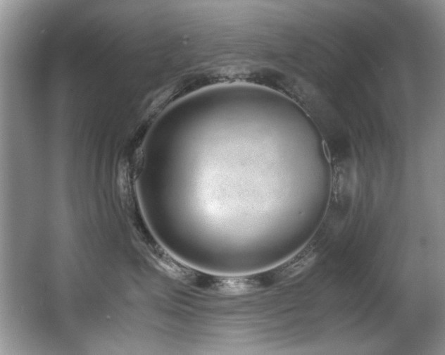 X0000067000623200603241344