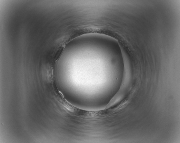 X0000067000624200603241344