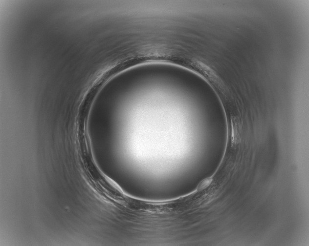 X0000067000627200603241343