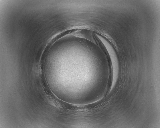 X0000067000628200603241343