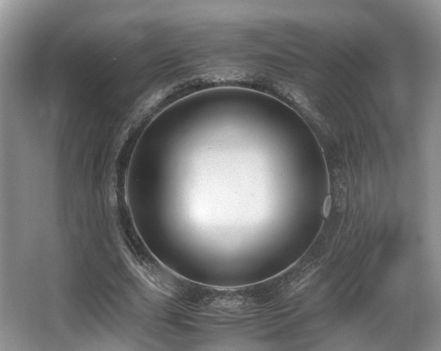 X0000067000631200603241343
