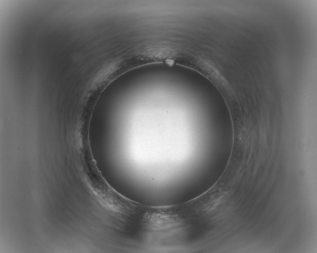 X0000067000635200603241343