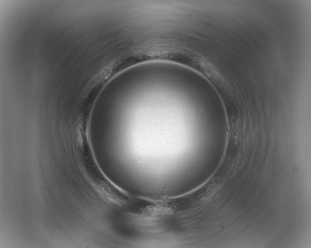 X0000067000644200603241343