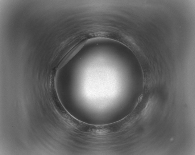 X0000067000645200603241343