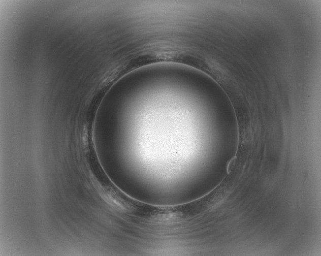 X0000067000646200603241343