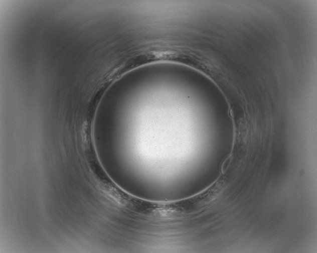 X0000067000650200603241343