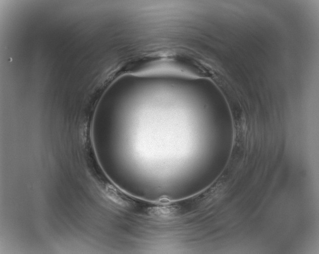 X0000067000652200603241343