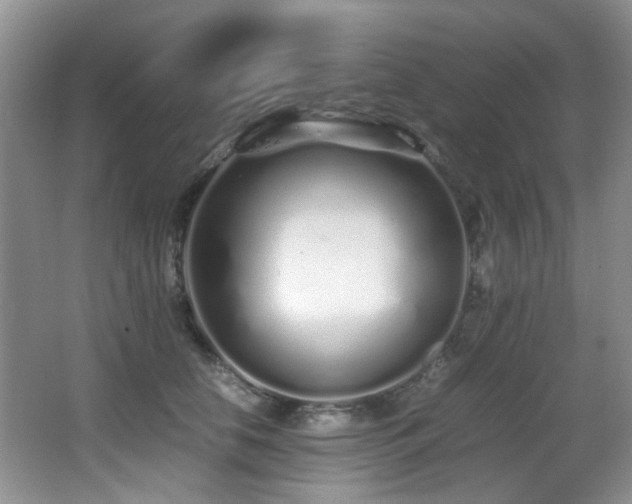 X0000067000658200603241343