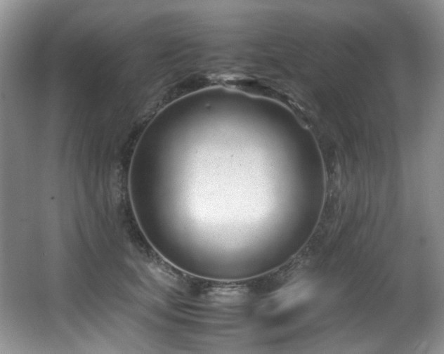 X0000067000659200603241343
