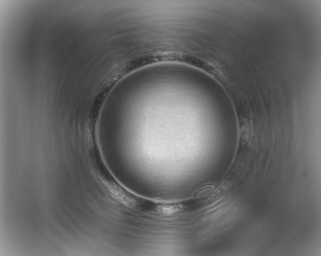 X0000067000662200603241343