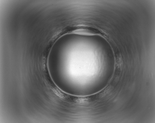 X0000067000664200603241343