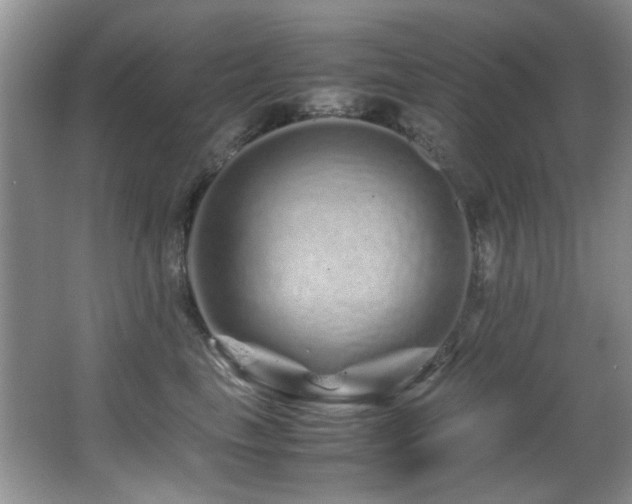 X0000067000665200603241343