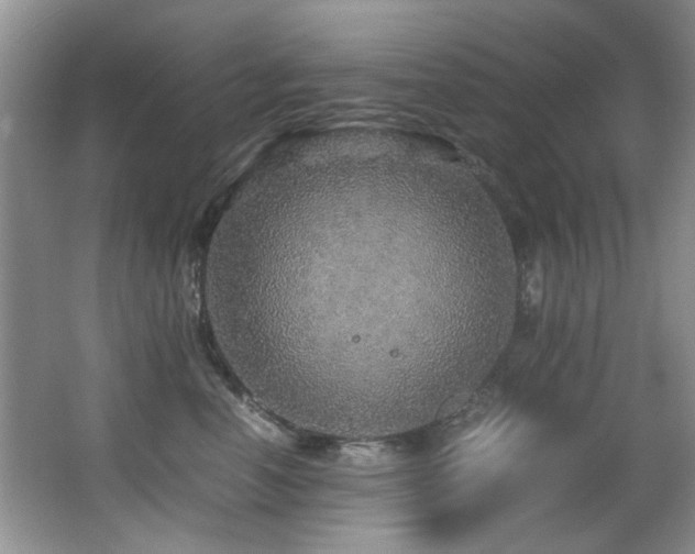 X0000067000666200603241343