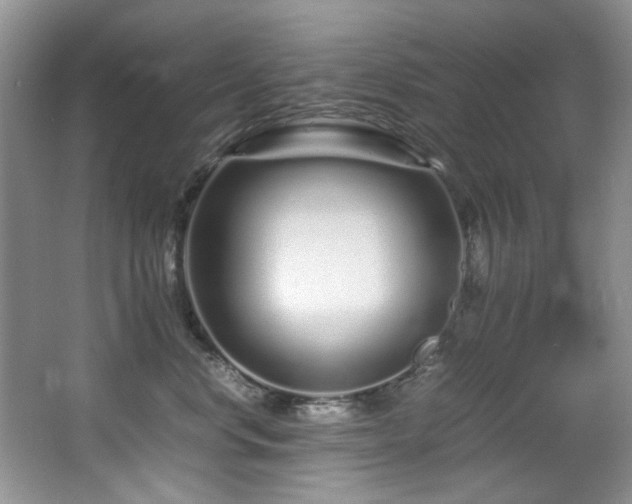X0000067000668200603241343