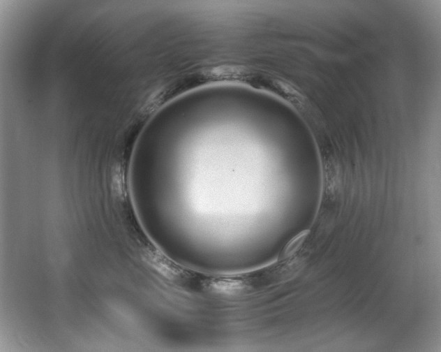 X0000067000669200603241343