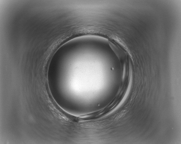 X0000067000673200603241343