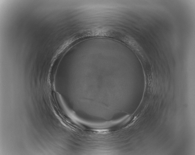 X0000067000674200603241343