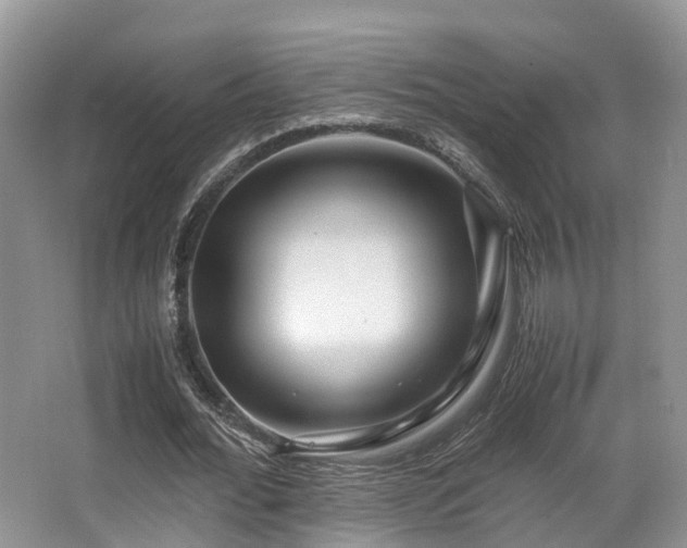 X0000067000676200603241343