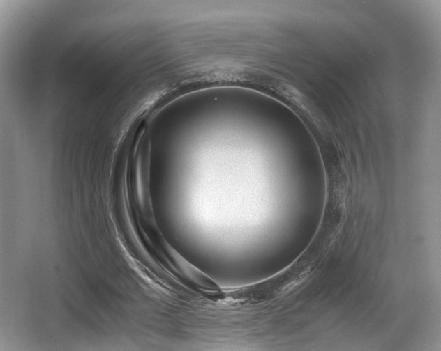 X0000067000677200603241343