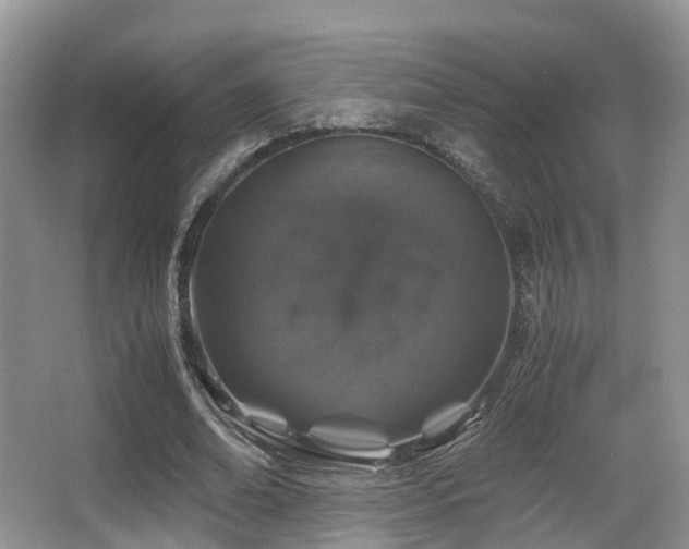 X0000067000678200603241343