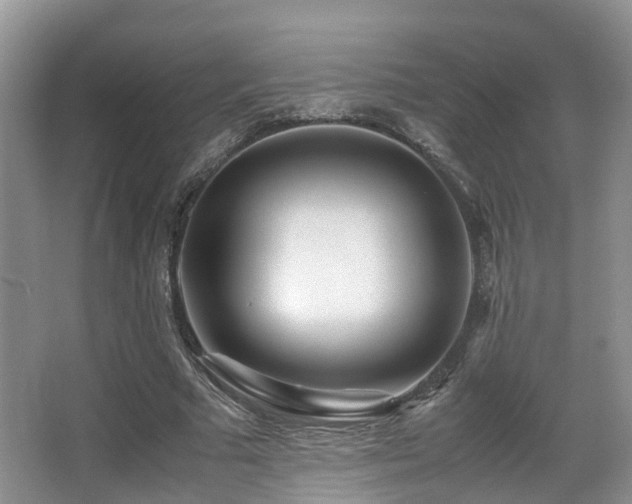 X0000067000681200603241343