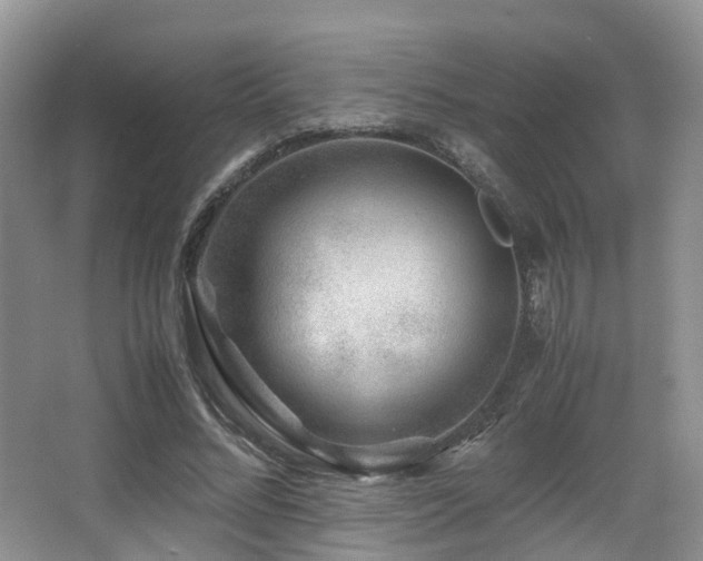 X0000067000684200603241343