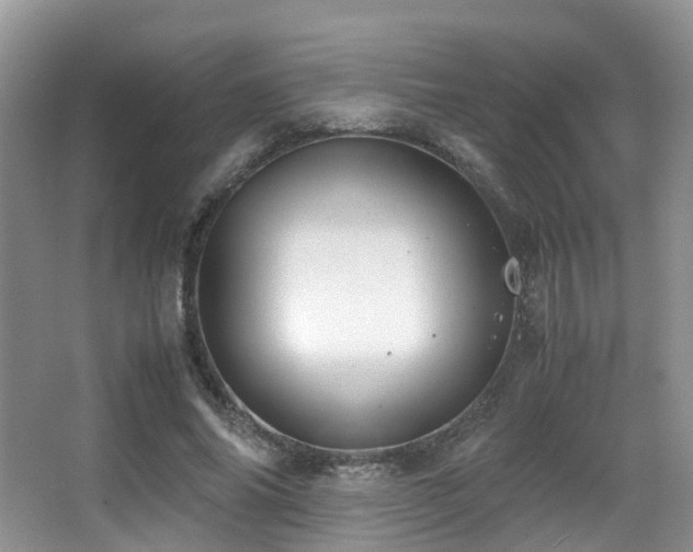 X0000067000686200603241343