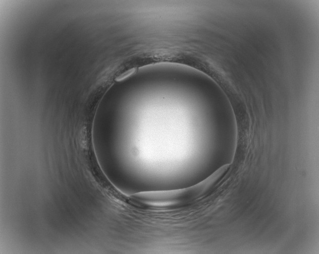 X0000067000689200603241342
