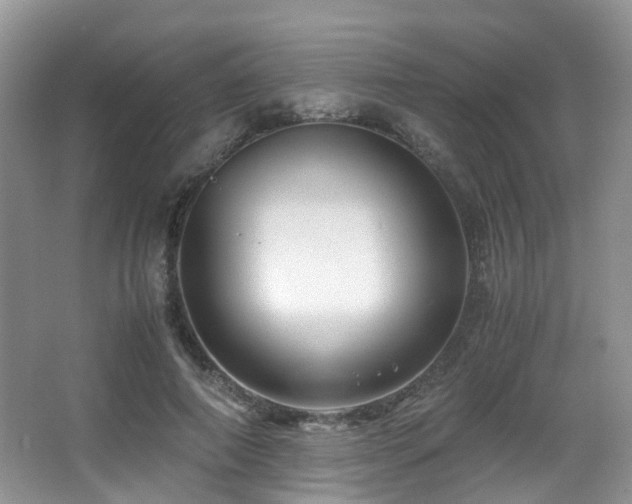 X0000067000690200603241342