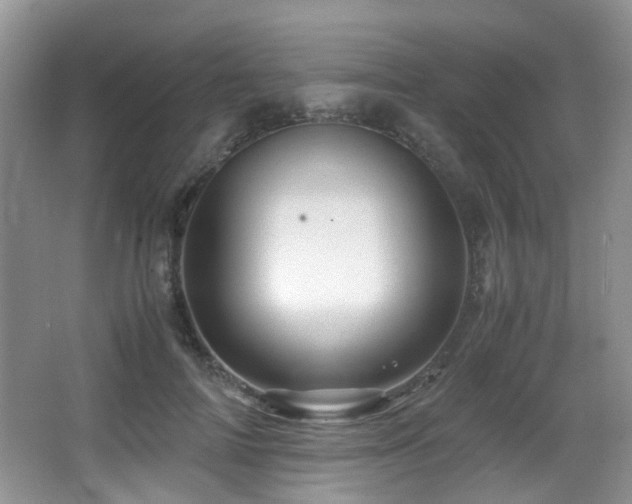 X0000067000698200603241342