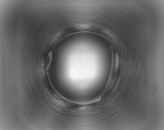 X0000067000700200603241342
