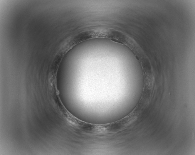 X0000067000701200603241342