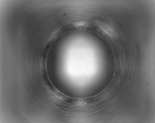 X0000067000702200603241342